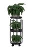 Hutch Plant Stand