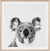 Kenny the Koala Framed Print - 90 or 110 cm Glass Front