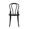 Outdoor Black Plastic Bentwood Chair