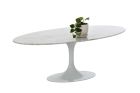 Replica Marble Tulip Oval Coffee Table