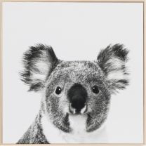 Kenny the Koala Print