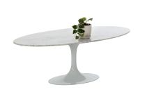 Oval shaped marble coffee table with oval base in white.