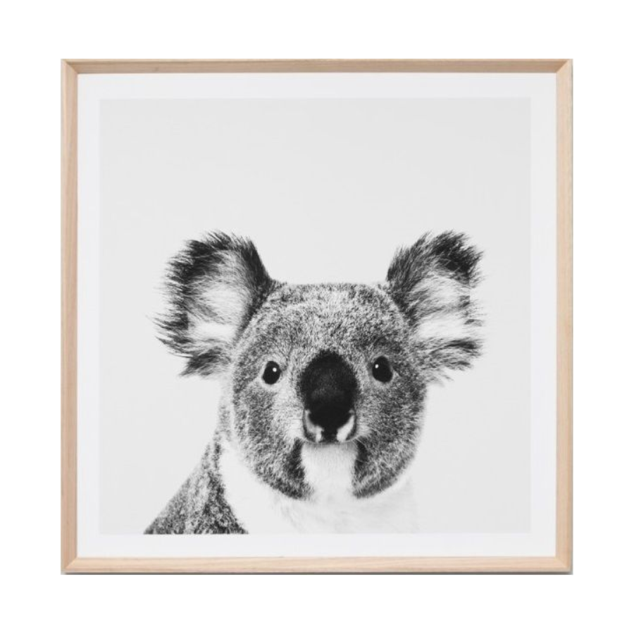 Kenny the Koala Print Black and White Koala Print in a Timber Frame with Glass Cover or Canvas Print with Timber Frame